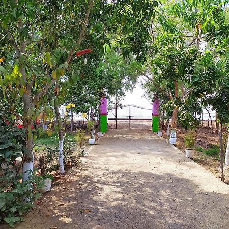 Estuarine Village Resort Satabhaya Экстерьер фото