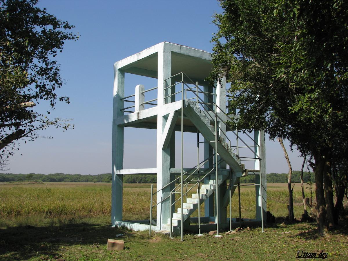 Estuarine Village Resort Satabhaya Экстерьер фото