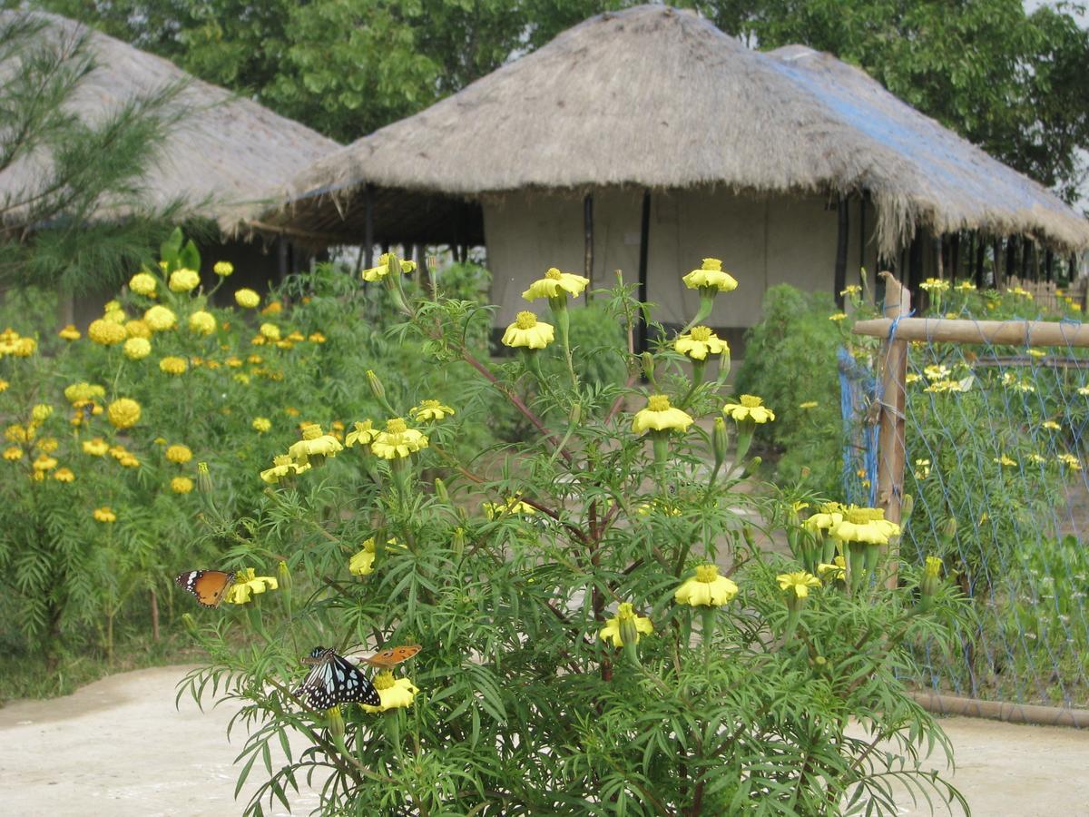 Estuarine Village Resort Satabhaya Экстерьер фото