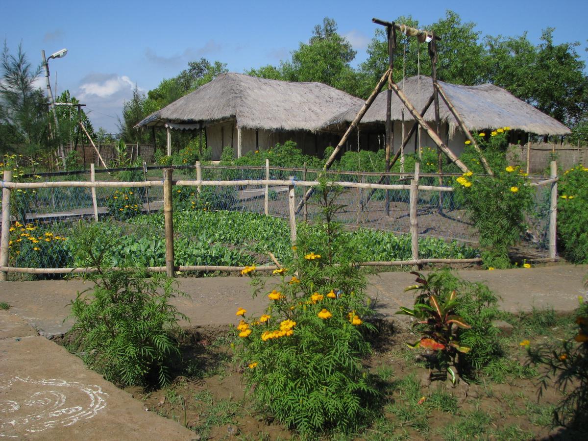 Estuarine Village Resort Satabhaya Номер фото